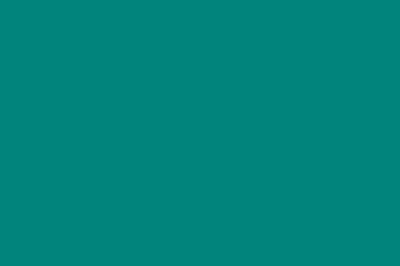 Site Customizer